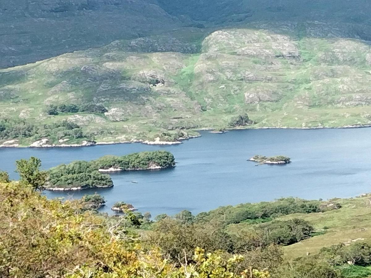 Larkfield House B&B, Ballycasheen Kerry V93 Wd51 Killarney Eksteriør bilde