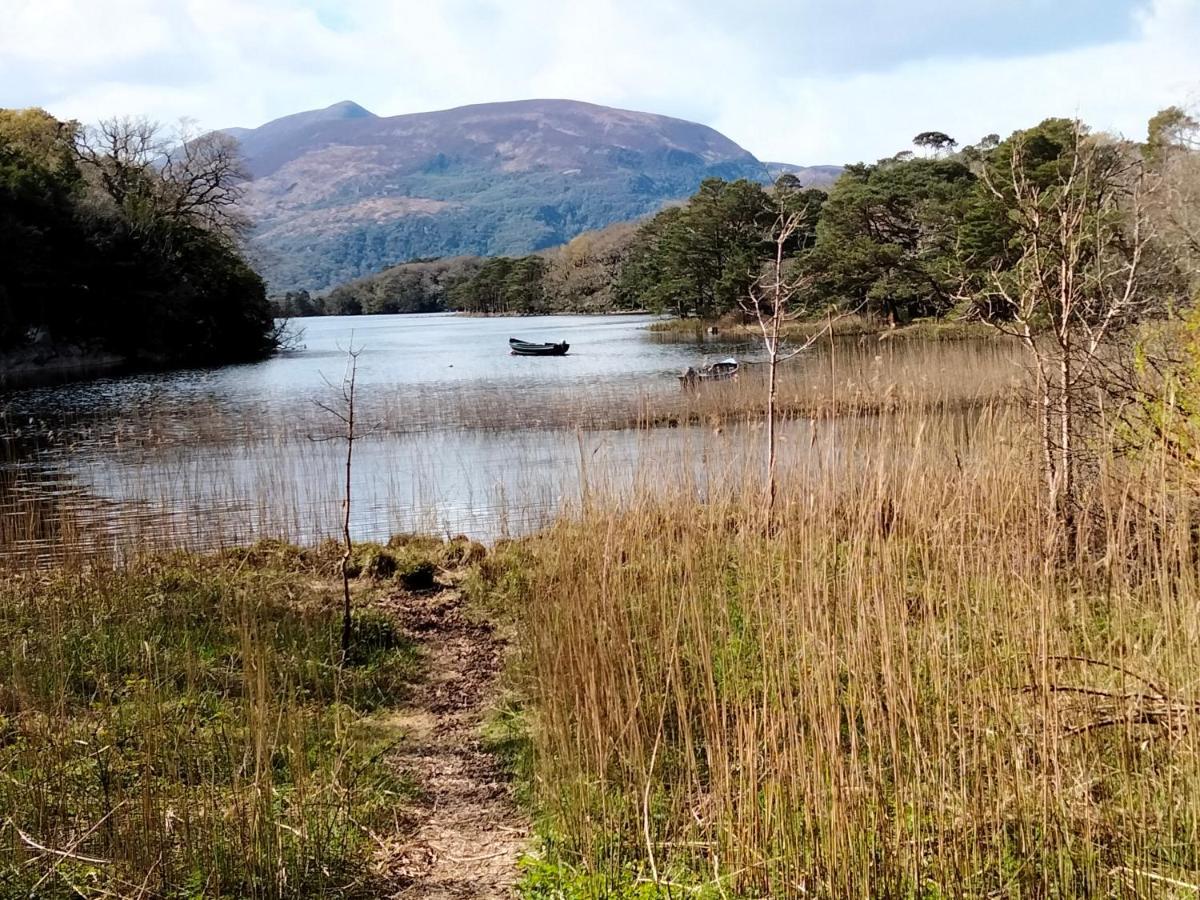 Larkfield House B&B, Ballycasheen Kerry V93 Wd51 Killarney Eksteriør bilde