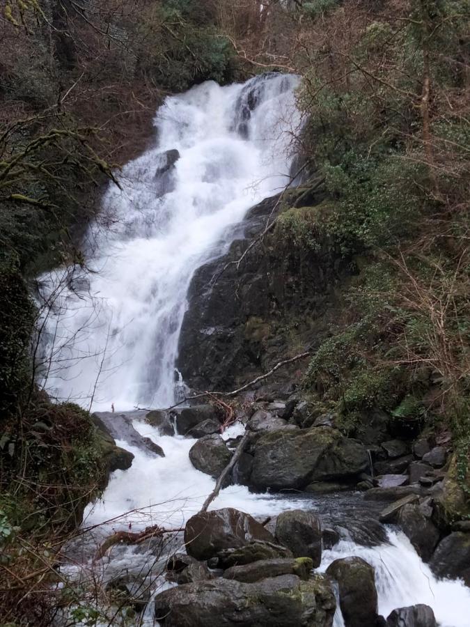 Larkfield House B&B, Ballycasheen Kerry V93 Wd51 Killarney Eksteriør bilde