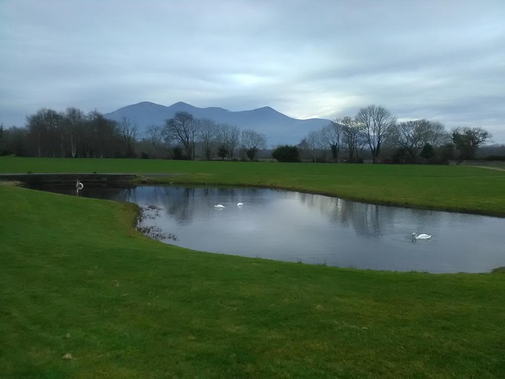 Larkfield House B&B, Ballycasheen Kerry V93 Wd51 Killarney Eksteriør bilde