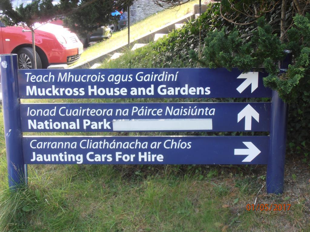 Larkfield House B&B, Ballycasheen Kerry V93 Wd51 Killarney Eksteriør bilde