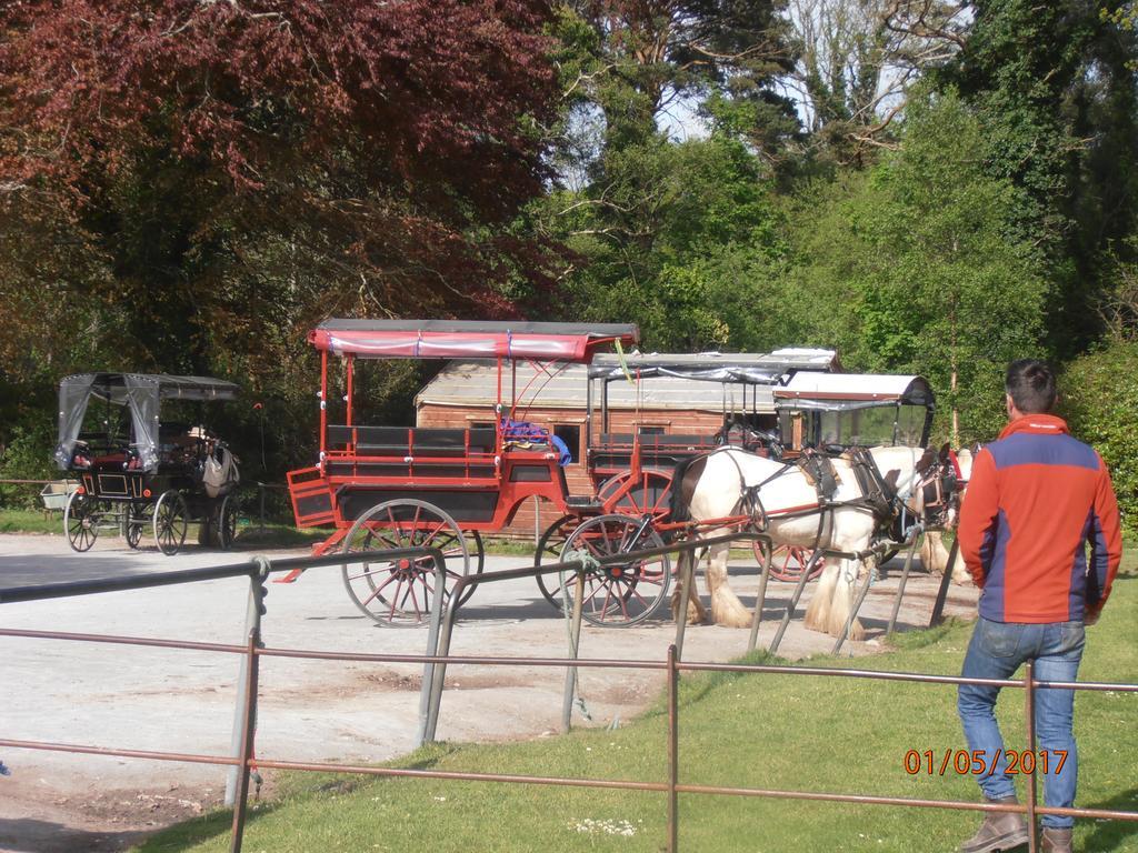 Larkfield House B&B, Ballycasheen Kerry V93 Wd51 Killarney Eksteriør bilde