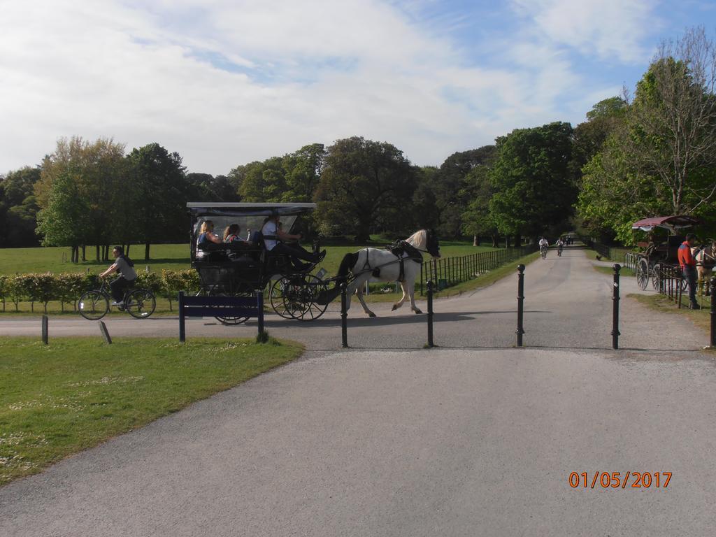 Larkfield House B&B, Ballycasheen Kerry V93 Wd51 Killarney Eksteriør bilde