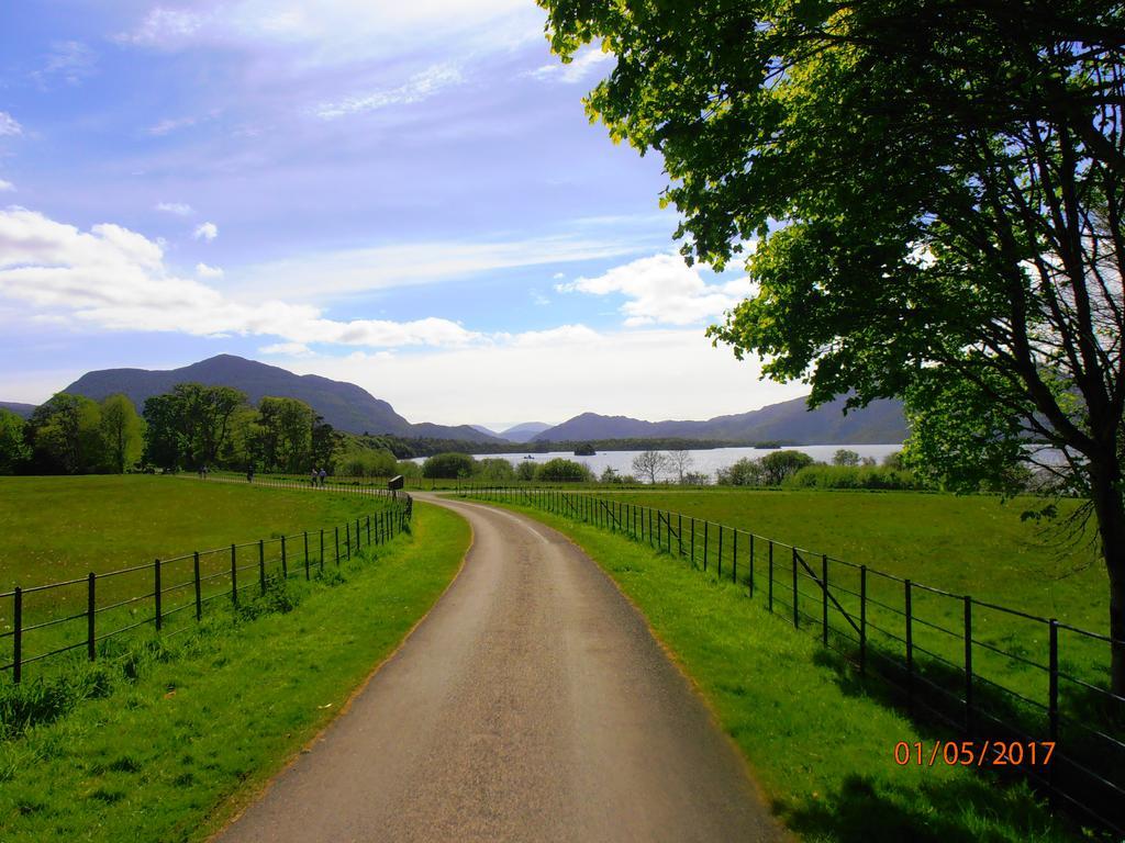 Larkfield House B&B, Ballycasheen Kerry V93 Wd51 Killarney Eksteriør bilde