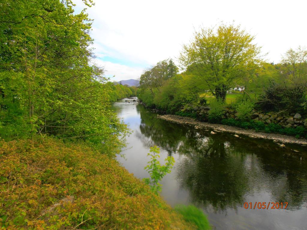 Larkfield House B&B, Ballycasheen Kerry V93 Wd51 Killarney Eksteriør bilde