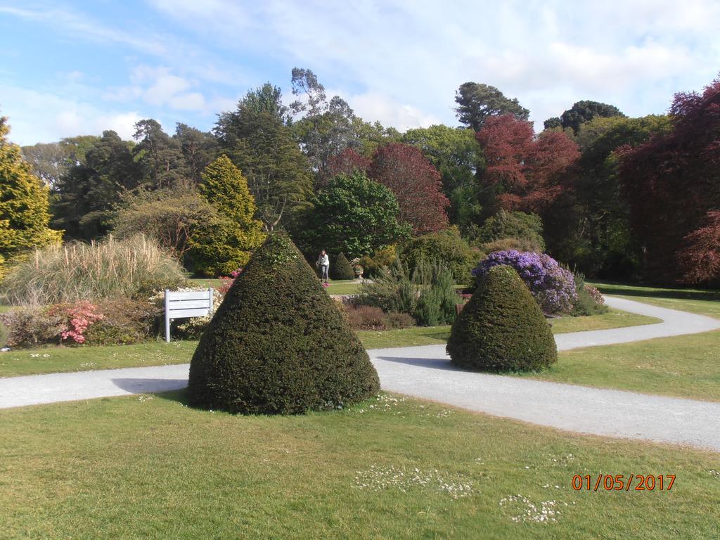Larkfield House B&B, Ballycasheen Kerry V93 Wd51 Killarney Eksteriør bilde