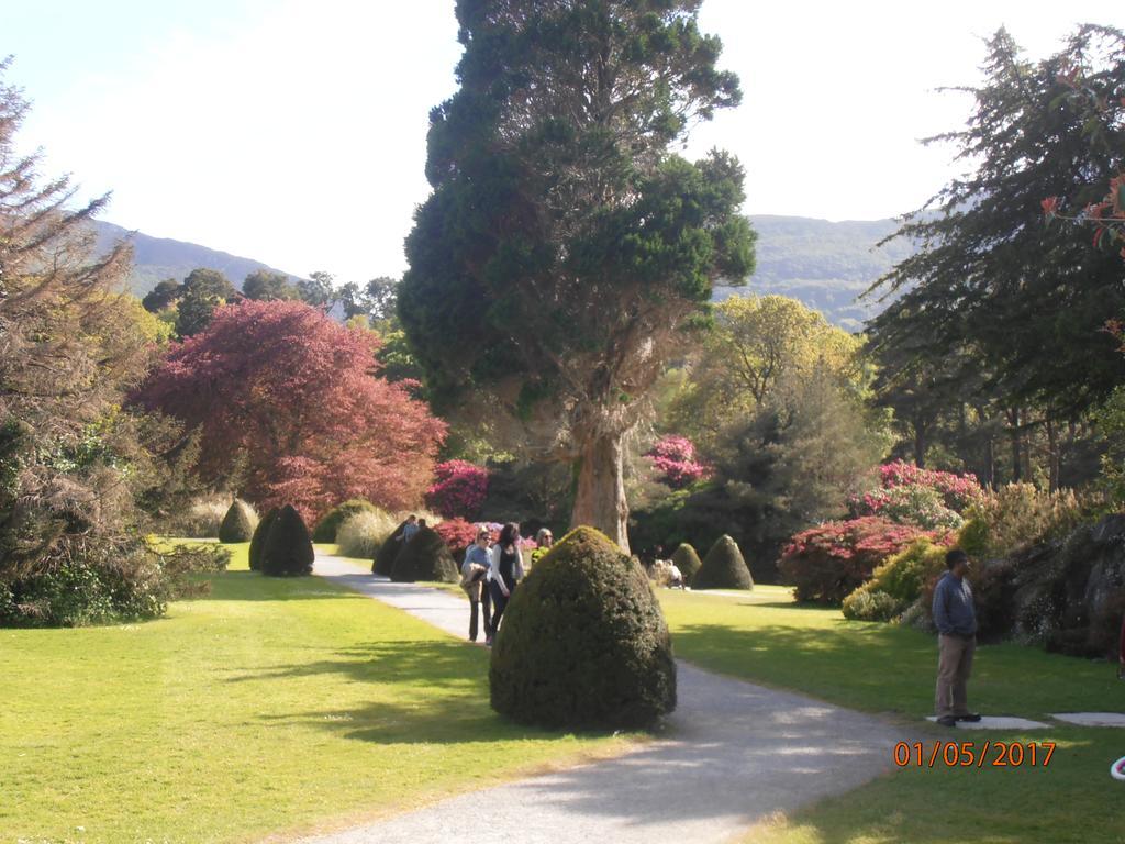 Larkfield House B&B, Ballycasheen Kerry V93 Wd51 Killarney Eksteriør bilde